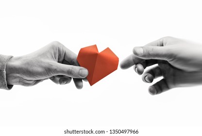Red heart in woman and man hands. Black and white image on isolated white background. Concept of love,  giving gifts, donorship.