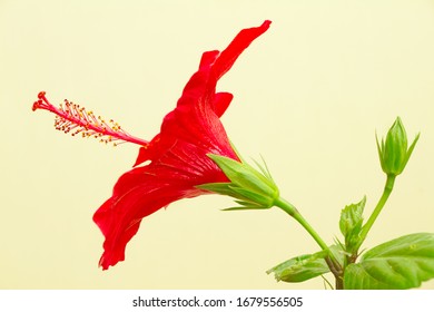 Stock Photo And Image Portfolio By Kompass Shutterstock