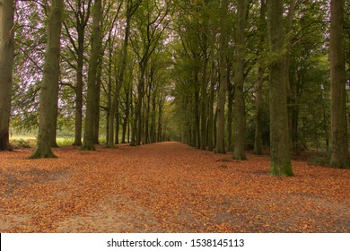 The Red Hiking Route Of Ter Apel