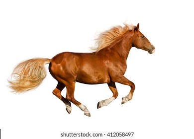 10,930 Red Galloping Horse Images, Stock Photos & Vectors 