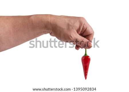 Similar – Image, Stock Photo Child holds two peppers