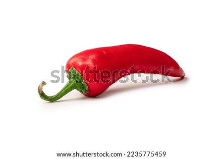 Red hot chili pepper isolated on a white background. 