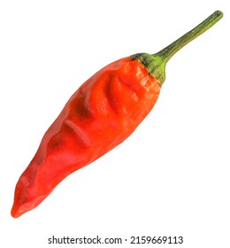 Red Hot Chili Pepper Scientific Name Stock Photo 2159669113 | Shutterstock