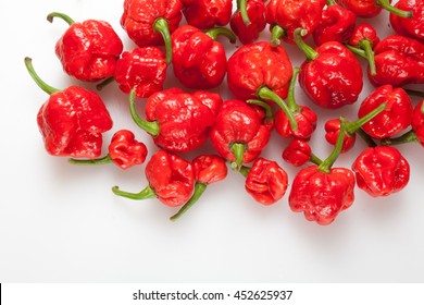 Red hot Trinidad moruga scorpion peppers white background
