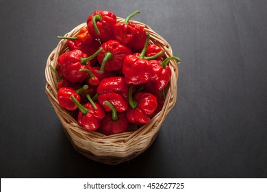 Red hot Trinidad moruga scorpion peppers in basket black background