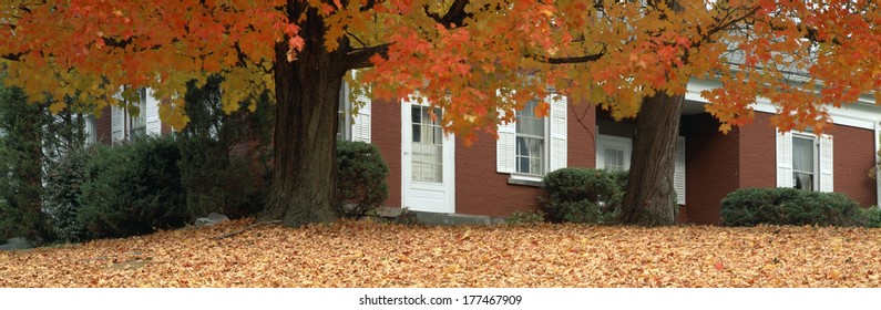 Red House And Maple Trees Along Route 79, Broome County, New York