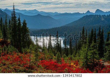 Red Huckleberry and Pine Trees in Front of Dewey Lake in Washington wilderness