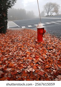 red hydrant by the intersection in the fall foliage. early foggy morning.