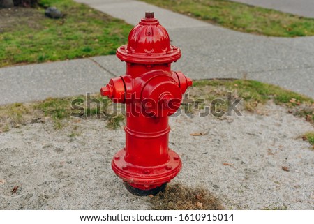 Red hydrant fire detail prevention system with green out of focus wood in background
