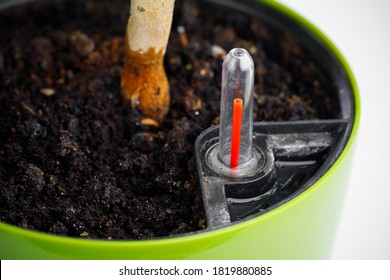 red indicator of self watering planter pot, close-up view - Powered by Shutterstock