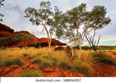 Red iron rocks of Australian outback