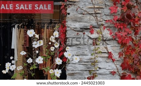 Red Ivy on old stone wall of clothing shop with Sale sign in the window over a clothes rail. White anemone flowers out front.