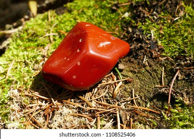 Red Jasper Polished Stone