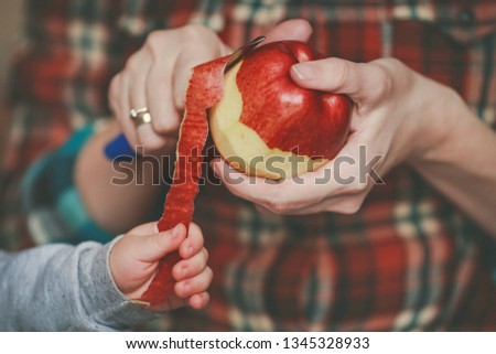 red juicy apples in their hands