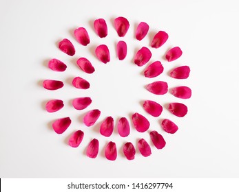 Red Juicy Peony Petals In The Form Of A Circle On A White Background. Copy Space, Flat Lay, Minimal Concept.