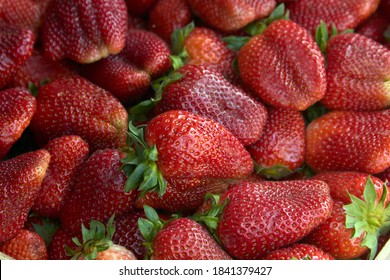 red juicy ripe strawberries on the background