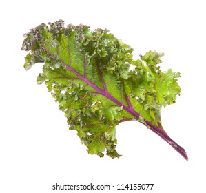 Red Kale