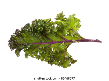 Red Kale