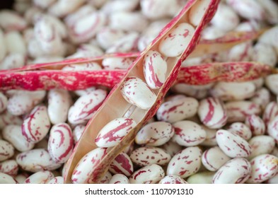 Red Kidney Beans In  Bowl, Close-up, Shallow Depth Of Field.blurred Background