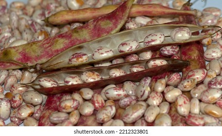 Red Kidney Beans, Close-up, Shallow Depth Of Field In Jammu India.