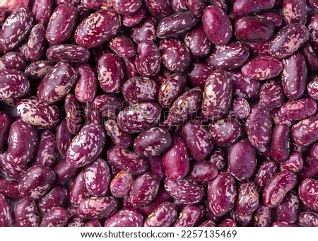 red kidney beans macro shut