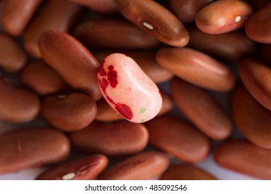 Red Kidney Beans With Pink Jelly Bean