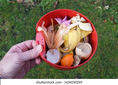 A red kitchen compost bin with kitchen waste such as egg shells, banana peel, mandarin peel, tea bags, but also wilted flowers for the compost pile. Netherlands, Bergen, February 3, 2020.             