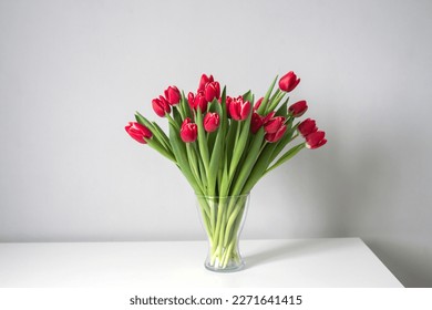 Red kung fu tulips stand in a glass vase in the bedroom on the table. Bouquet of flowers