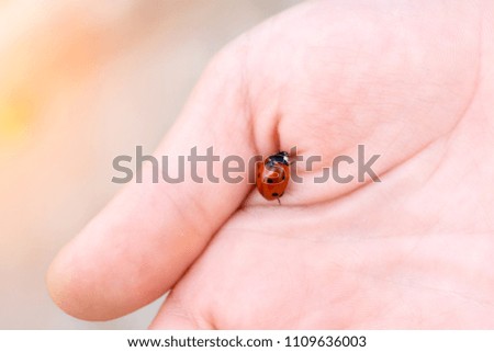 Similar – My daughter is holding a tiny little crab on her hand. There were thousands of them in the mudflats.