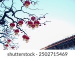 Red lanterns on the trees of Summer Palace in Beijing