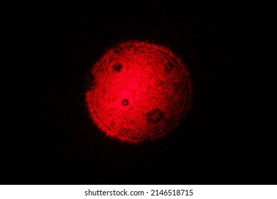 Red Laser Dot Circle, Abstract Macro View On Black Background