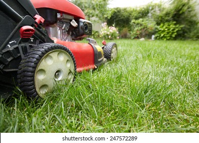 Red Lawn mower cutting grass. Gardening concept background