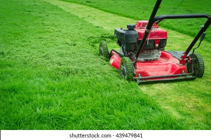 Red Lawnmower cutting bright green grass in football fields backyard Gardening care service landscaping for the background lawnmower on grass equipment Mowing gardener care work tool Close up lawn mow