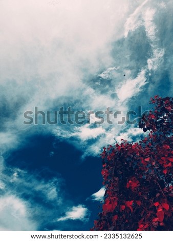 Red leaf with beautiful sky for lockscreen and wallpaper 
