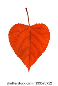 Red Leaf Heart On White