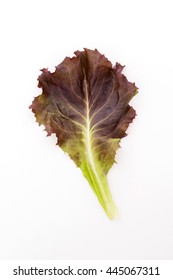 Red Leaf Lettuce Isolated On White Background