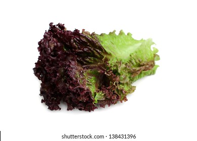 Red Leaf Lettuce Isoleted On A White Background.