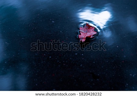 Similar – Image, Stock Photo left alone Beach Ocean