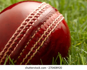 Ball stitch Images, Stock Photos & Vectors | Shutterstock