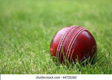 Red Leather Cricket Ball On Grass