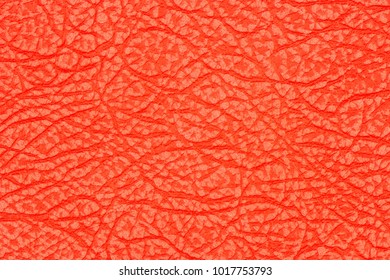 red leather texture background. Abstract background, empty template. Top view. - Shutterstock ID 1017753793