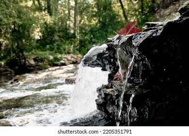 Red Leave On Water Running Down Rocks In A Forest