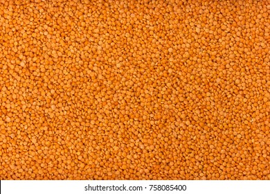 Red Lentils Background Or Texture