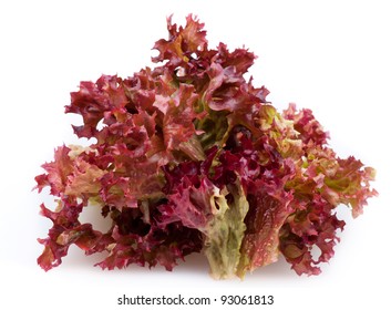 Red Lettuce