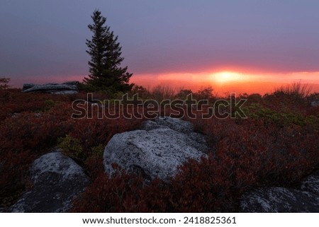 Red light filters through the rain and sleet during an Autumn sunrise at Dolly Sods in West Virginia.
