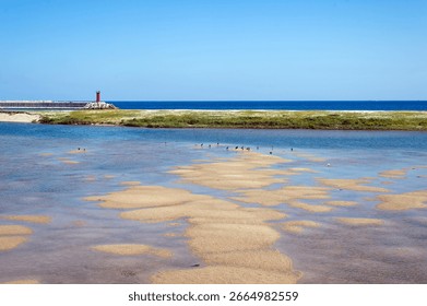 Red Lighthouse and Sand Patterns on a Sunny Coast