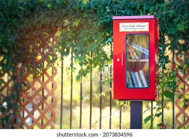 Red Little Free Library box in a quiet neighborhood park surrounded by beautiful nature  - Powered by Shutterstock