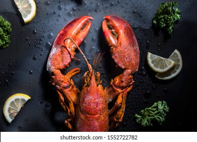 Red Lobster Canadian Lobster boiled ready to cook with lemon slice and parsley on a dark background with water drops ,close up top view