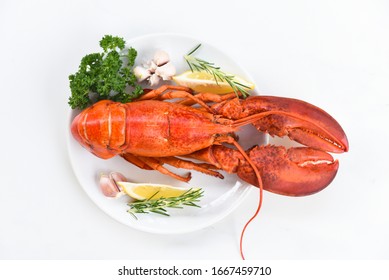Red lobster dinner seafood with herb spices lemon rosemary served table in the restaurant gourmet food healthy boiled lobster cooked / Fresh lobster food on a white plate background