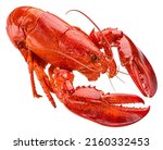 Red lobster isolated on white background, full depth of field
